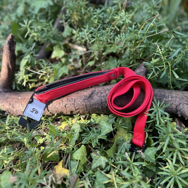 Laisse Martin Sellier 120cm 25mm