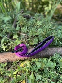 Laisse Martin Sellier 120cm 25mm
