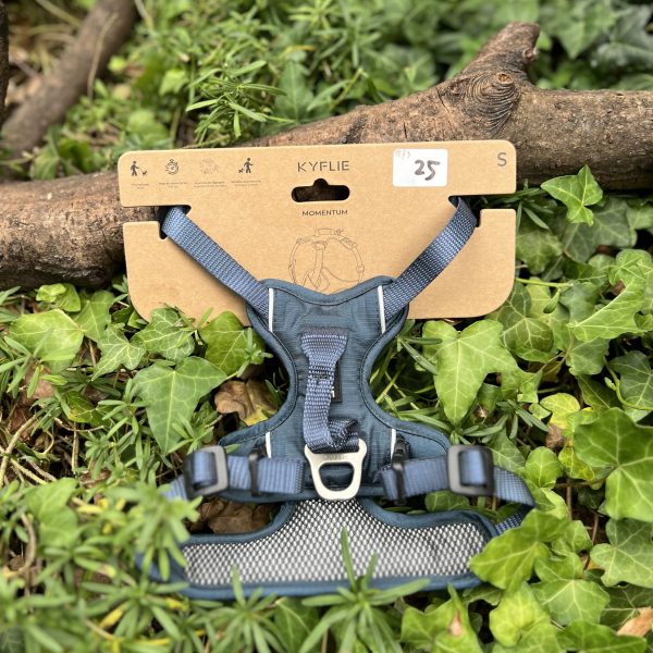 Kyflie Momentum Bleu S