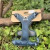Kyflie Momentum Bleu S
