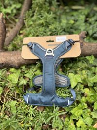 Kyflie Momentum Bleu S