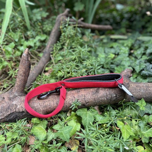 Laisse courte Martin Sellier 60cm