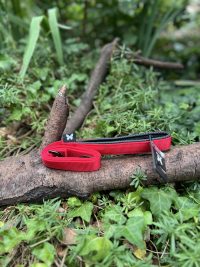 Laisse Martin Sellier 120cm 25mm