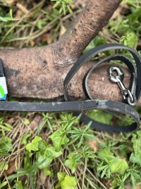 Laisse cuir martin Sellier 100cm