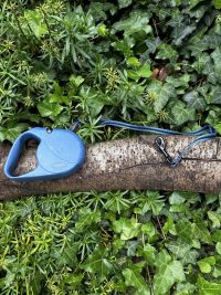 Flexi classic bleu 5m