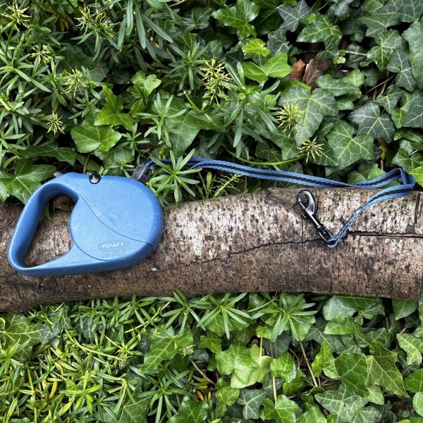 Flexi classic bleu 5m