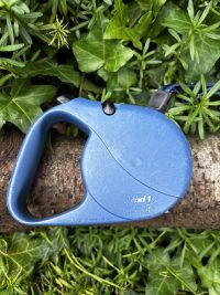 Flexi classic bleu 5m