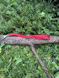 Laisse courte rouge