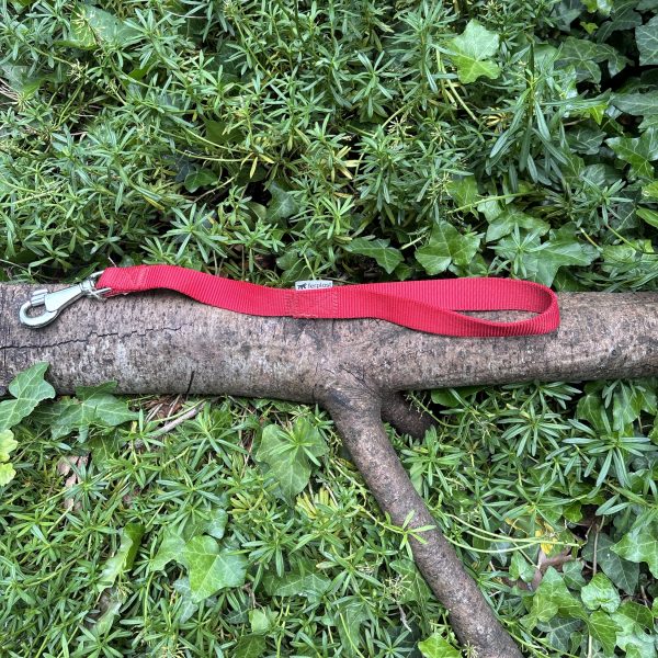 Laisse courte rouge