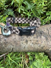 Collier/laisse 33- 52cm