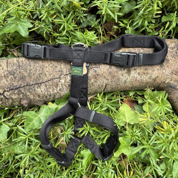 Harnais Hunter M