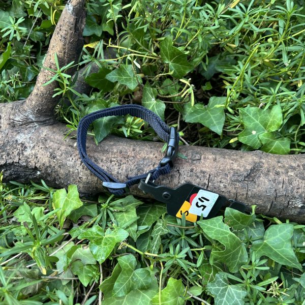 Collier bleu marine 28-43cm