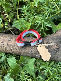 Collier rouge 20-31cm