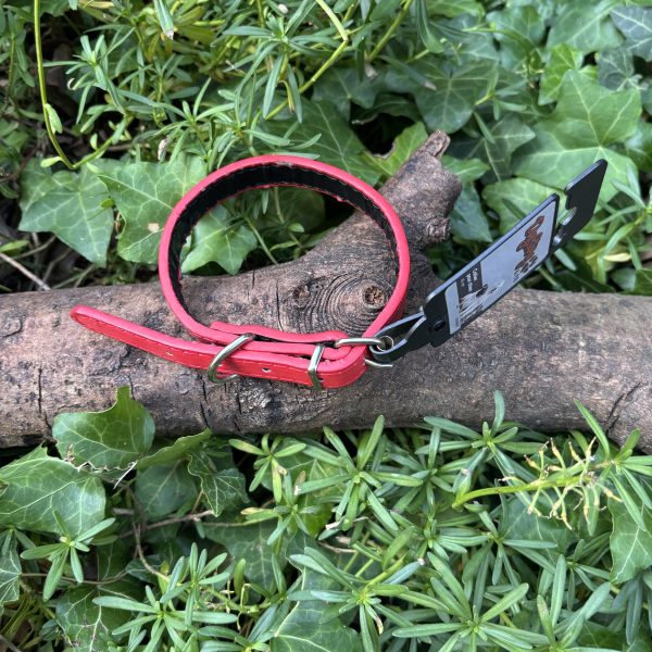 Collier rouge 27-34cm
