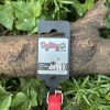 Collier rouge 27-34cm