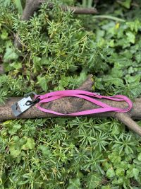Laisse rose Martin Sellier 120cm