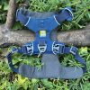 Harnais Ruffwear S Front Range