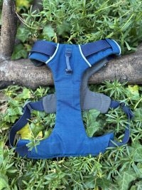 Harnais Ruffwear S Front Range
