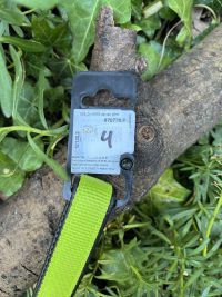 Laisse chaine Martin Sellier 100cm