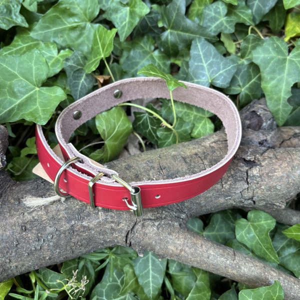 Collier cuir 34-41cm
