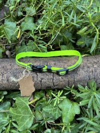 Collier jaune 18-31cm