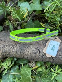 Collier jaune 18-31cm