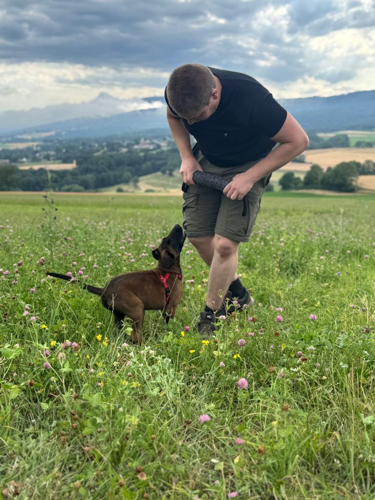 Éducateur canin professionnel en séance d’éducation positive à domicile avec un chien labrador à Genève et ses environs – méthode bienveillante et personnalisée pour chiens et chiots