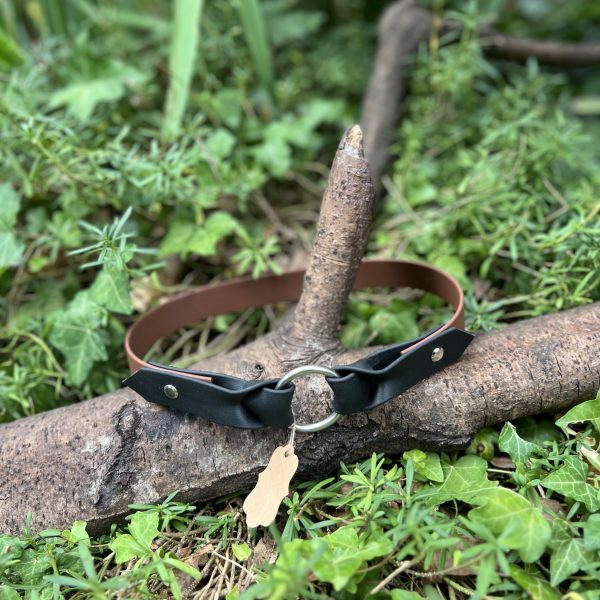 Collier Biothane 58cm