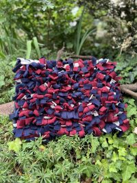 img_2877 Tapis de fouille trixie