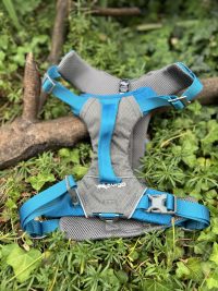 Harnais Kurgo Journey XL (36-50kg)