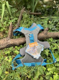 Harnais Kurgo Journey XL (36-50kg)