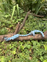 Corde bleue longue