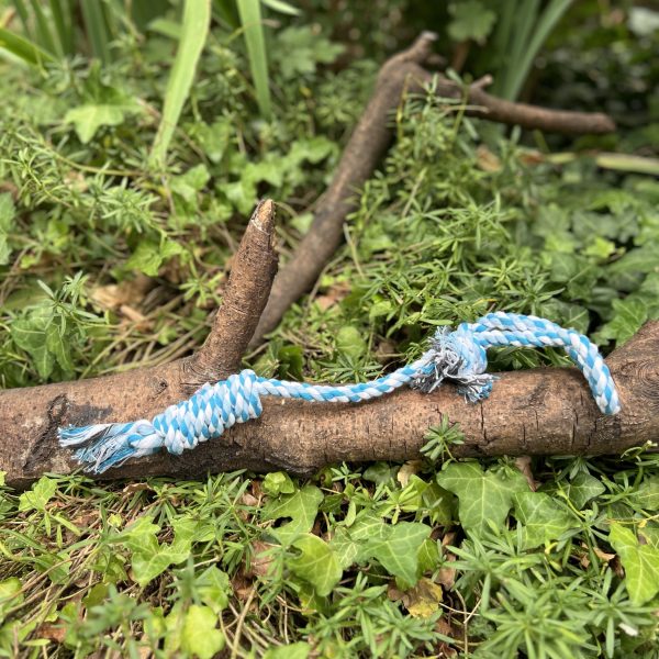 Corde bleue longue