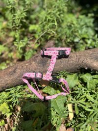 Harnais XS/S avec laisse rose