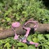 Harnais XS/S avec laisse rose