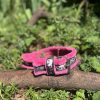 Collier rose Amstaff 44-52cm