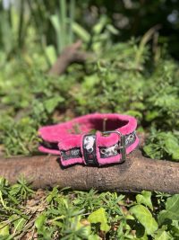 Collier rose Amstaff 44-52cm