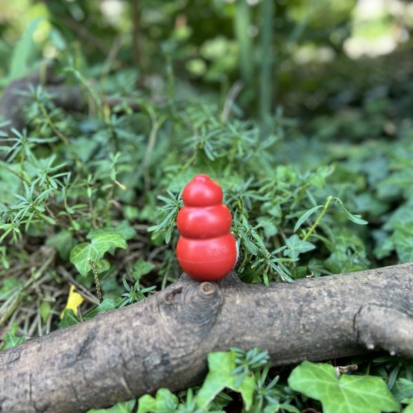 Kong classique S