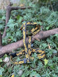 Harnais H orange et noir