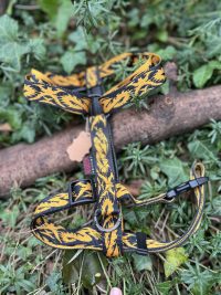 Harnais H orange et noir