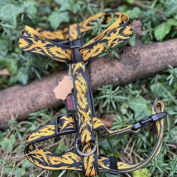 Harnais H orange et noir