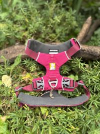 Harnais Ruffwear S Front Range