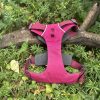 Harnais Ruffwear S Front Range