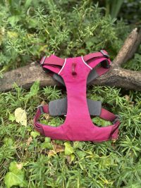Harnais Ruffwear S Front Range