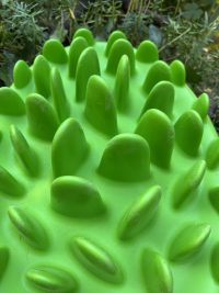 Gamelle antiglouton northmate