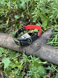 Collier rouge et noir 32-38cm