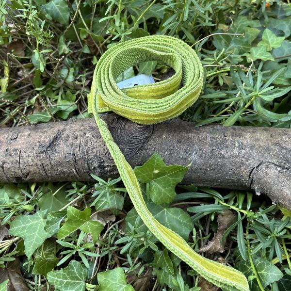Laisse en tissu verte 150cm