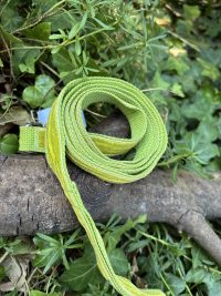 Laisse en tissu verte 150cm