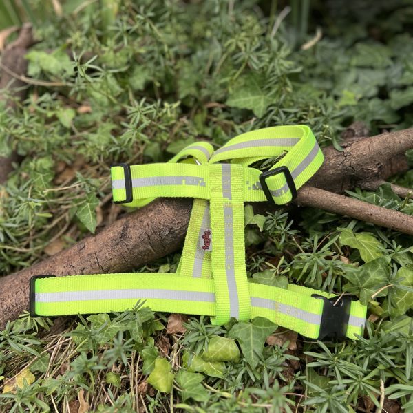 Harnais H Jaune fluo ML
