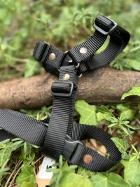 Harnais noir H ML